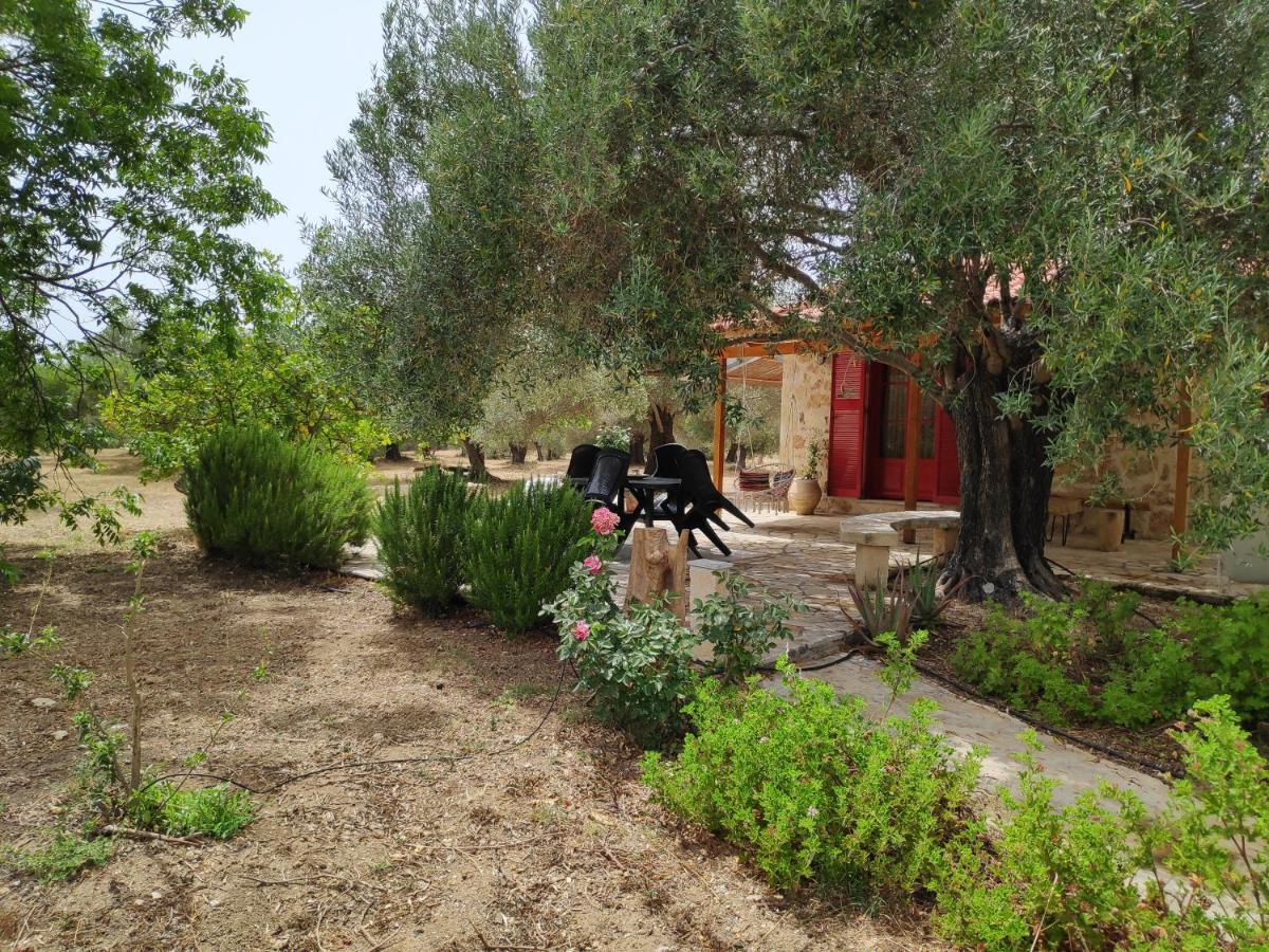 Вілла Dreamy Stone House Pesadha Екстер'єр фото